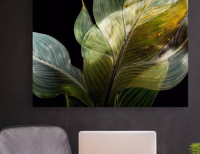 Tropical Leaves on Black by Pabodie Art