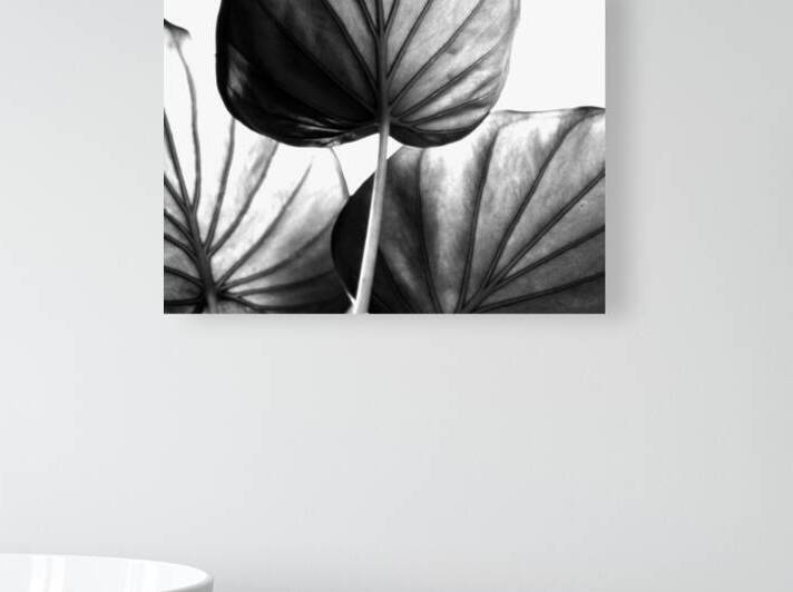 Tree of Life Leaf Art Reproduction