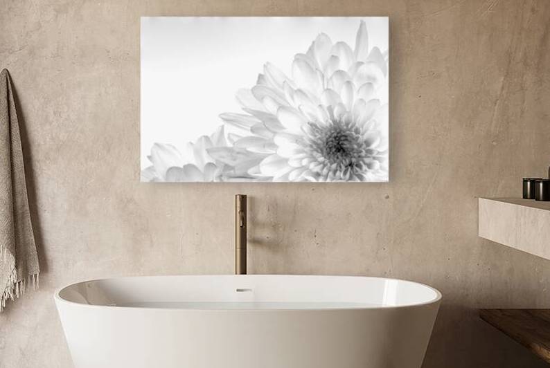 Chrysanthemum in Black & White by Pabodie Art