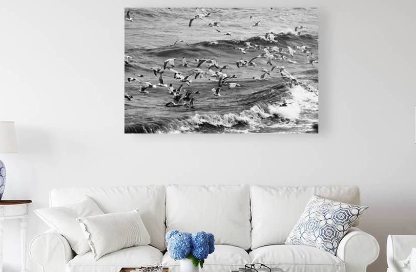 Morning Gulls by Pabodie Art