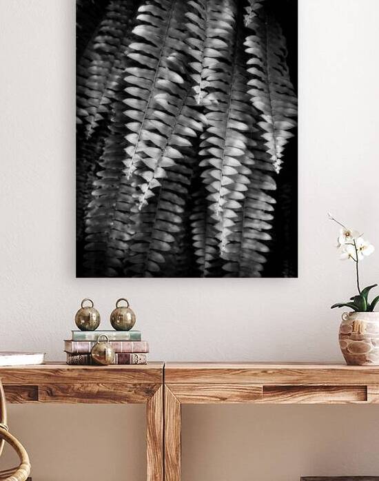 Fern Fronds by Pabodie Art