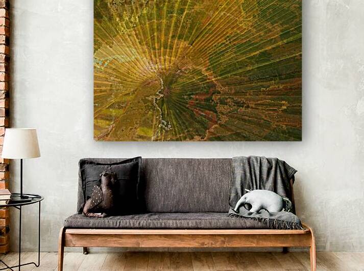 Palm Burst Rays by Pabodie Art