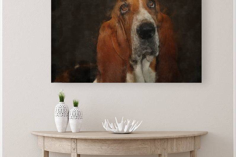 Basset Hound Portrait by Pabodie Art