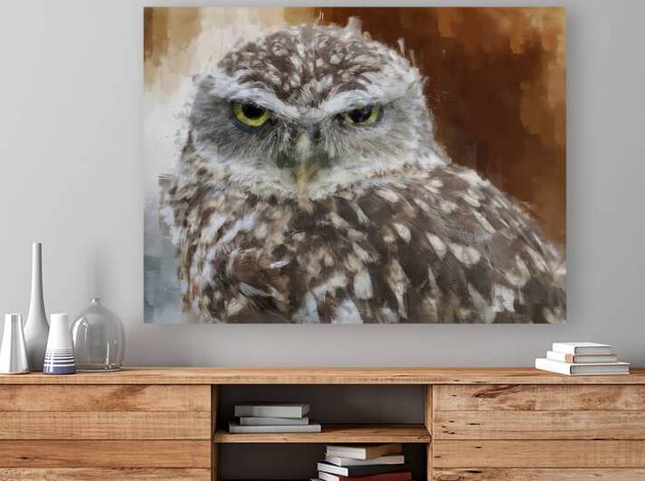 Burrowing Owl Portrait by Pabodie Art