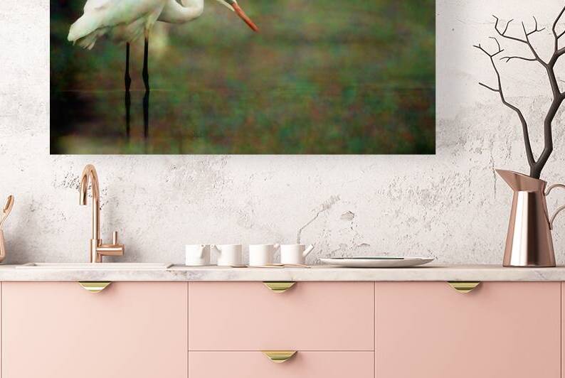 Egret Reproduction
