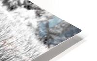 Squirrely Perspective HD Metal print