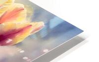 Luminous Tulips HD Metal print