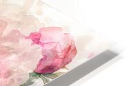 Peonies Watercolor Impression metal HD