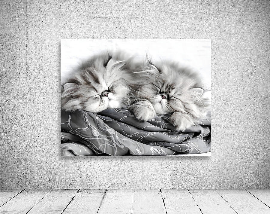 Sweet Dreams Kittens Wall Preview