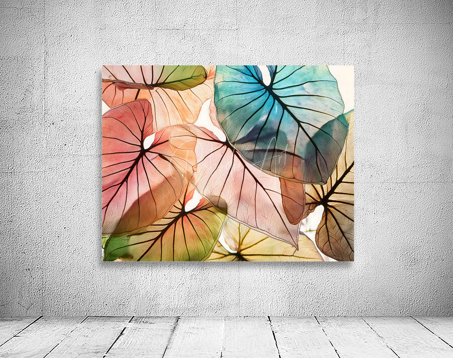 Caladium Colors I Wall Preview