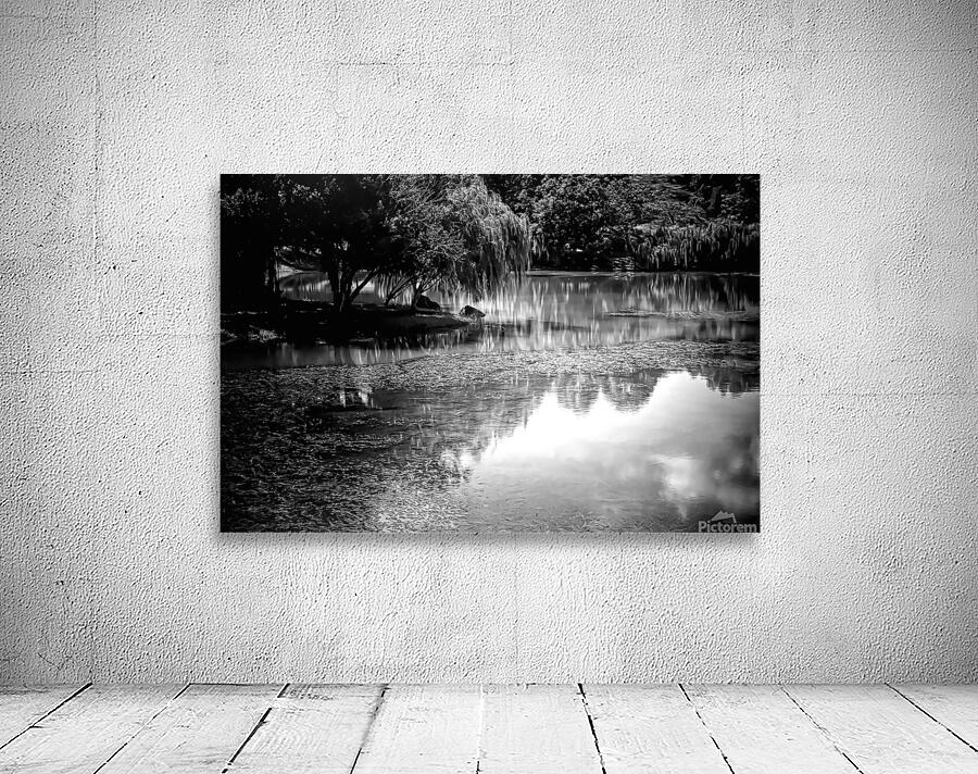 Willow Water Reflections Wall Preview