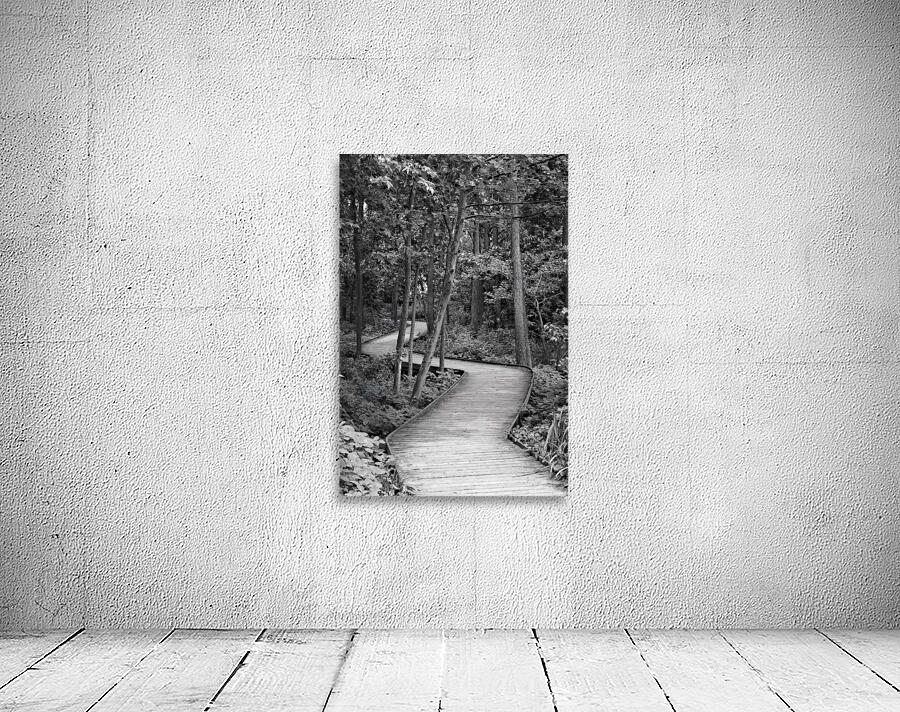 The Wooden Path Wall Preview