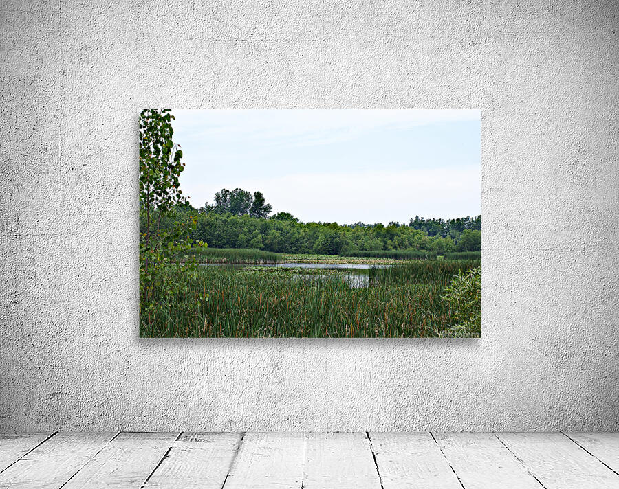 Natural Serenity Wall Preview