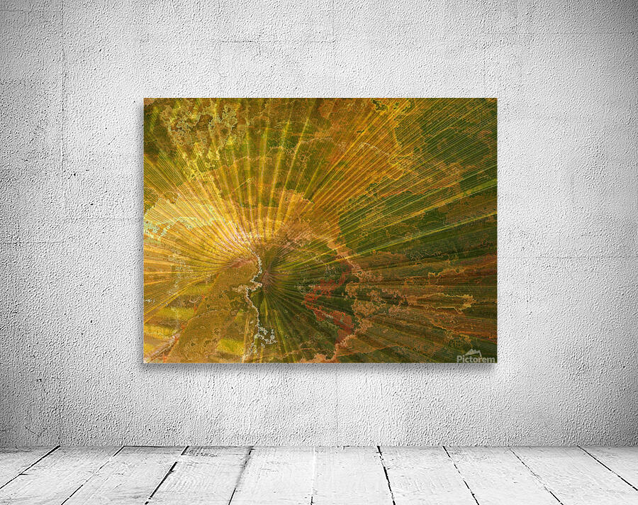 Palm Burst Rays Wall Preview