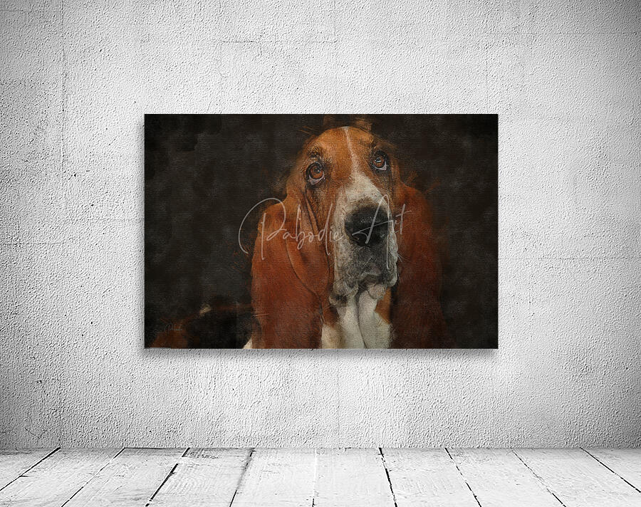 Basset Hound Portrait Wall Preview