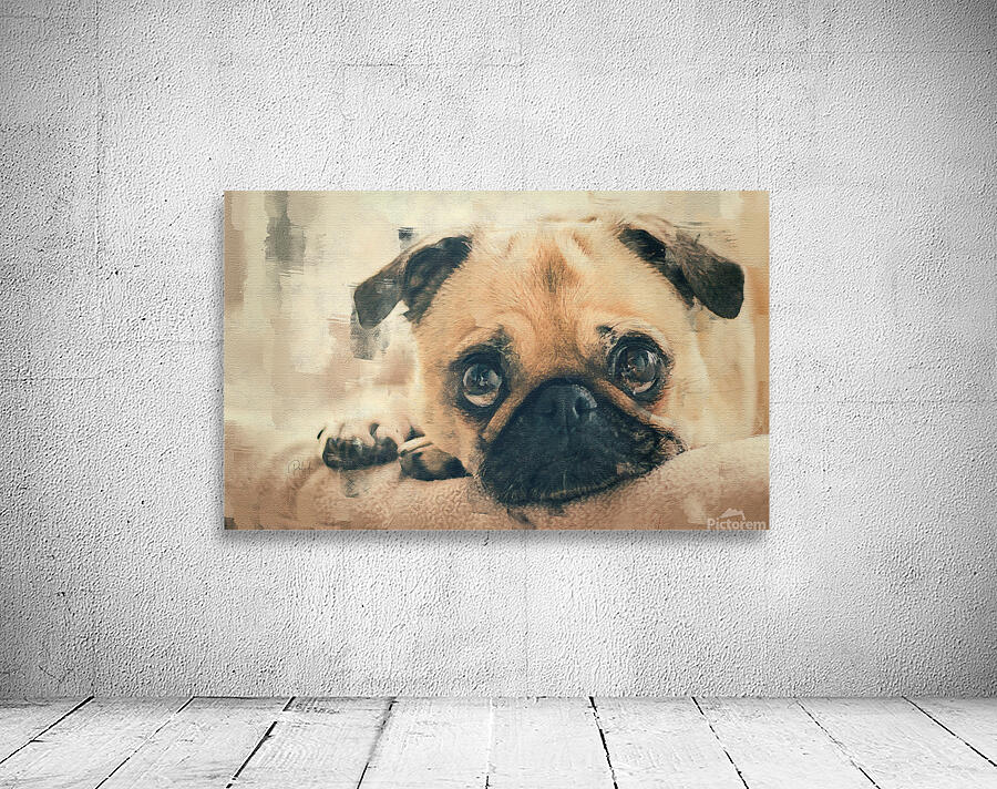 Pug Puppy Portrait Wall Preview