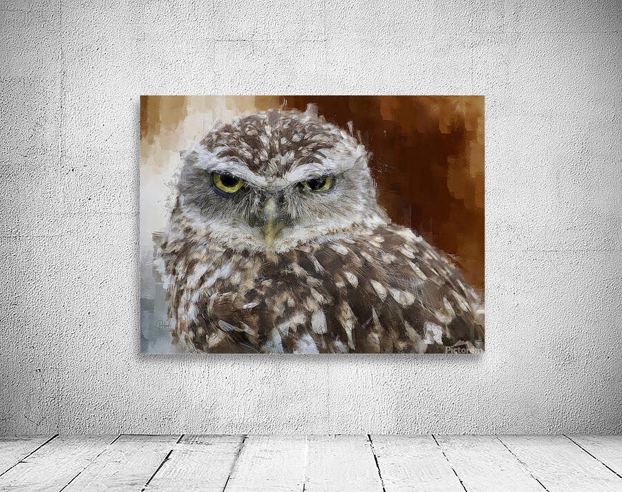 Burrowing Owl Portrait Wall Preview