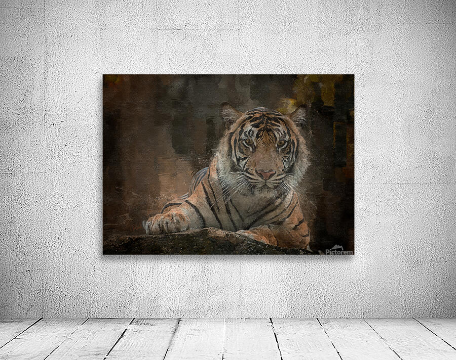 Siberian Tiger Portrait Wall Preview