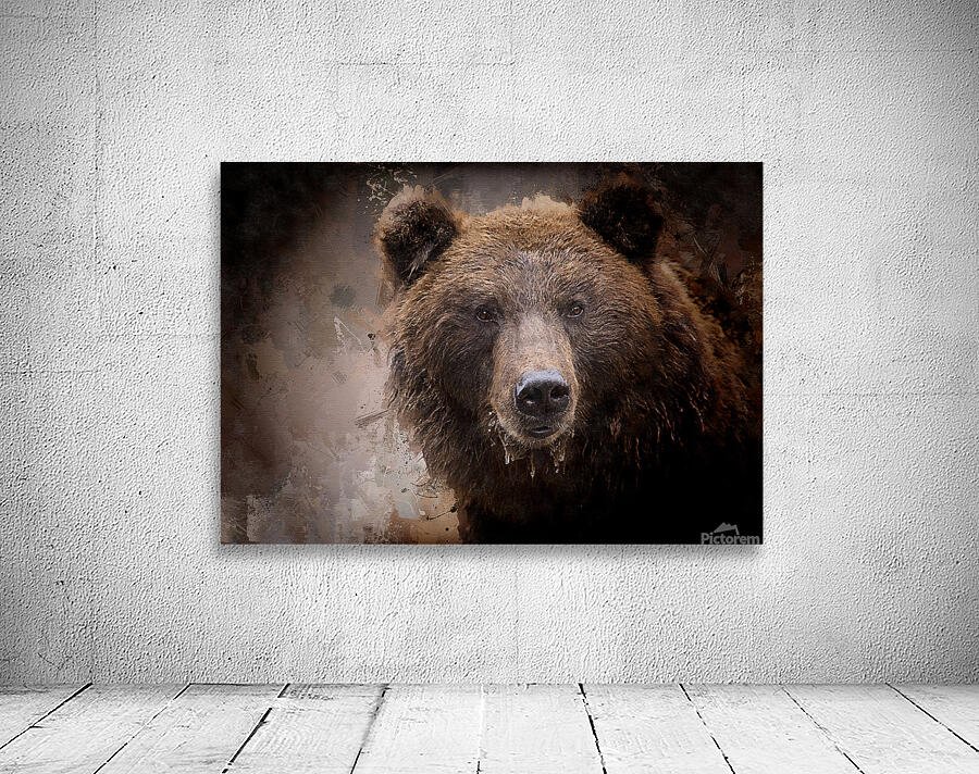 North American Brown Bear Wall Preview