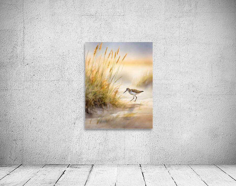 The Sandpiper Shoreline Wall Preview