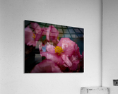Pastel Acrylic Print