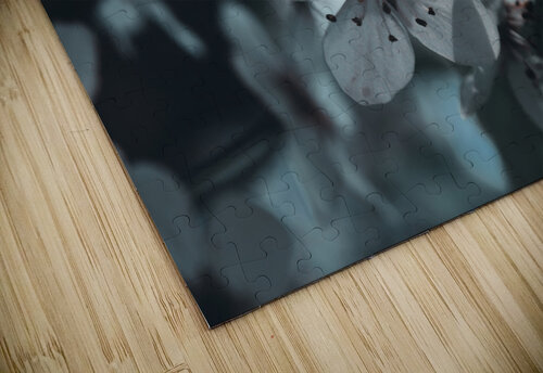 Sakura 1 LunarRise Photography puzzle