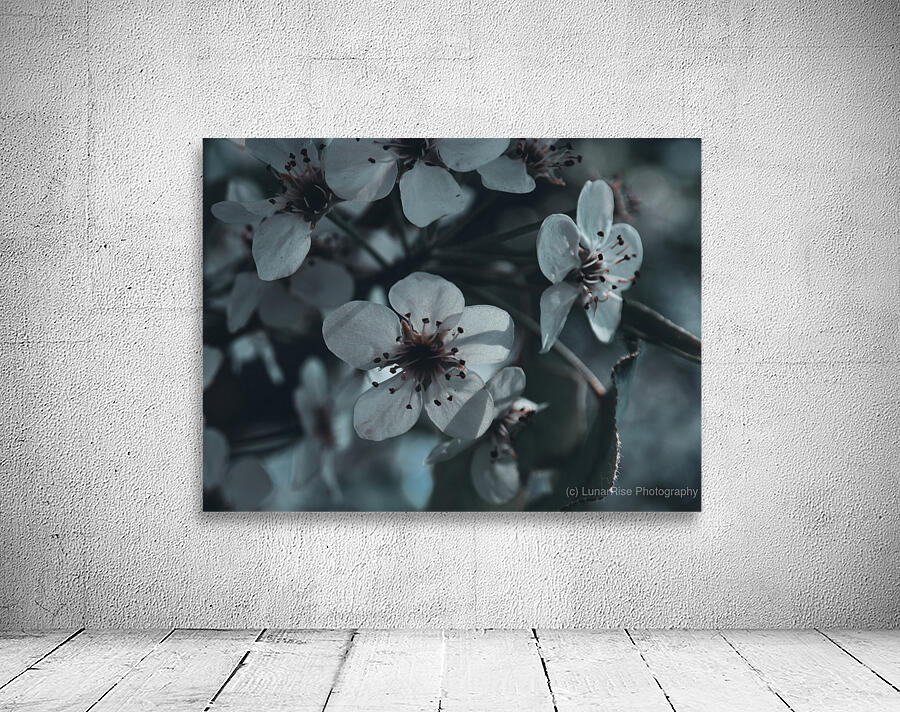 Sakura 1 Wall Preview