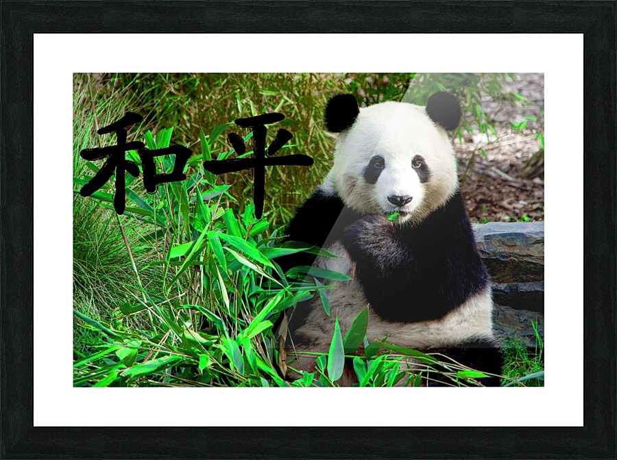 Panda bear Picture Frame print
