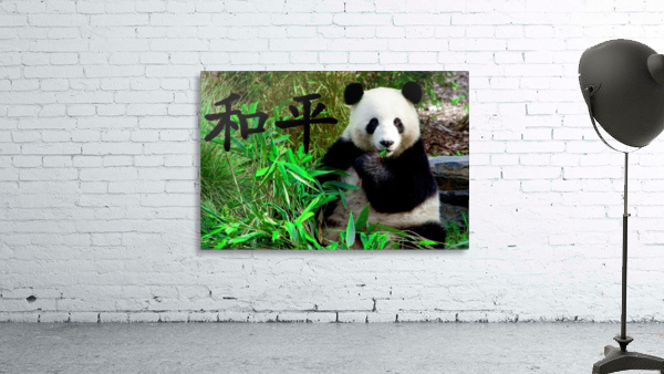 Panda bear Wall Preview
