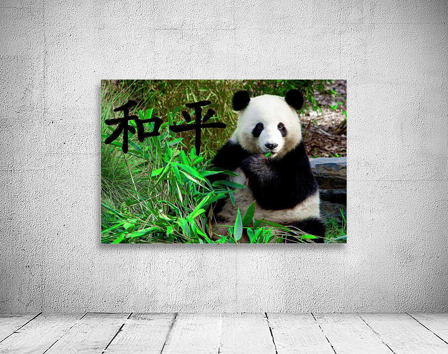 Panda bear Wall Preview