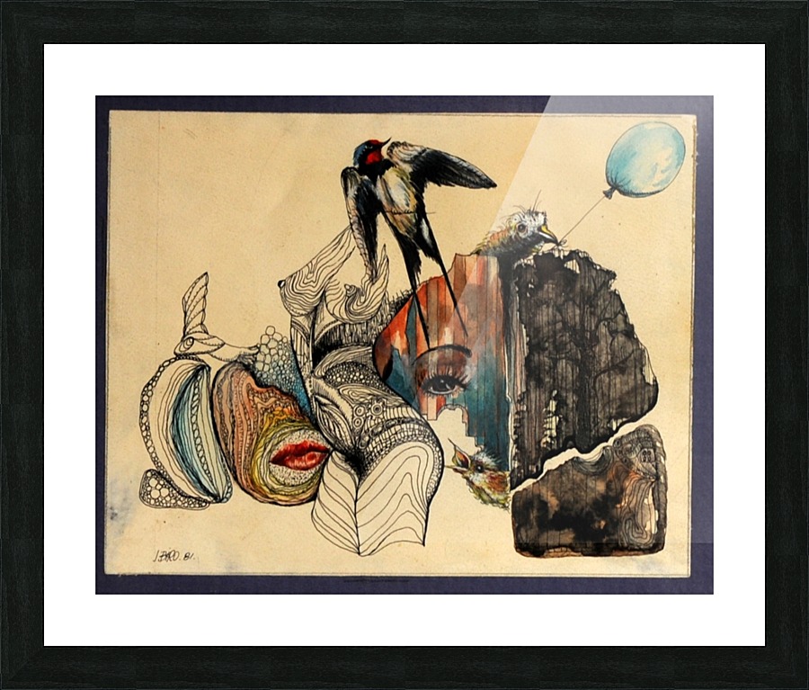 swallow. Picture Frame print