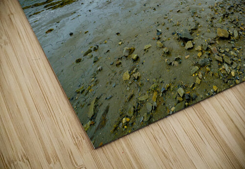 Parc du Bic 3 DAGHER puzzle