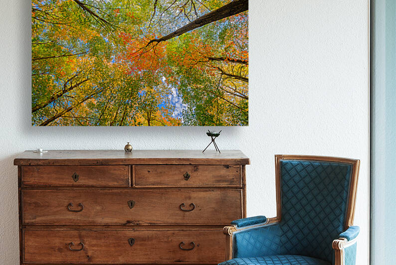 Automne sous les arbres 1 by DAGHER