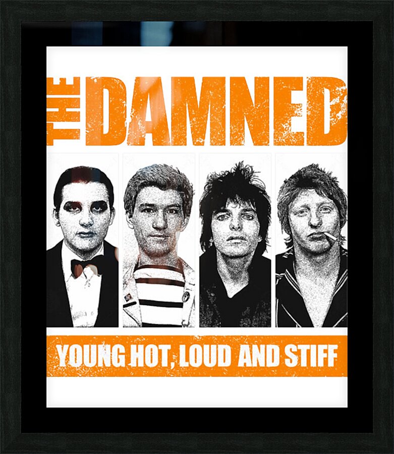 The Damned 17 Picture Frame print