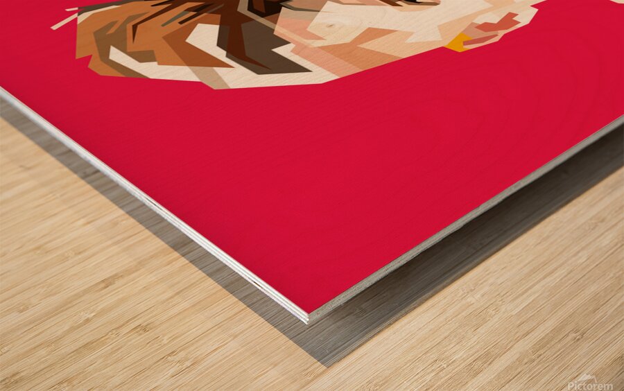 Toni Kroos German Footballer Wood print