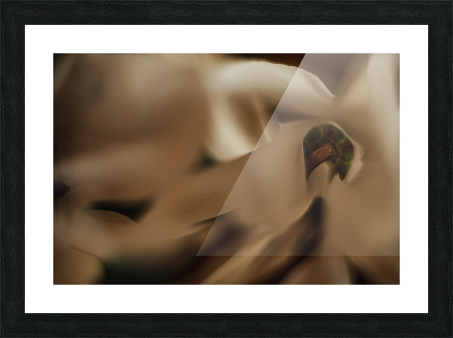 Golden love Picture Frame print