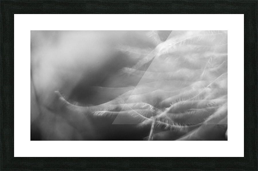 Just like a wind Picture Frame print
