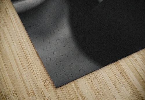 Listen Druzhnieva Veronika puzzle
