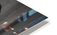 Hide HD Metal print