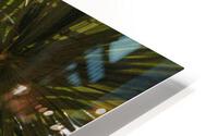 Palm Leaves HD Metal print