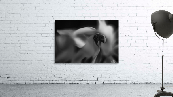 Inner spirit  Wall Preview