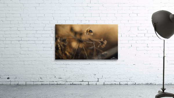 Spring is coming  Wall Preview