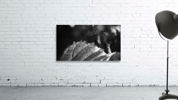 Abstract leaf Wall Preview