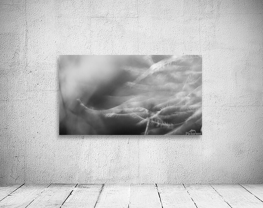 Just like a wind Wall Preview