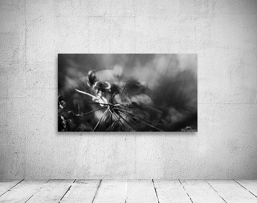 In spring  Wall Preview