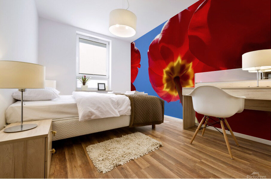 Tulips Mural print
