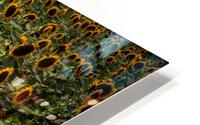 Milk delivery  HD Metal print