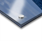 Humpback Whale Tail Slapping near Lahaina Maui Hawaii Acrylic print