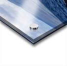 Humpback Whale Spout Blowing near Lahaina Maui Hawaii Acrylic print