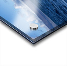 Humpback Whale Spout Blowing near Lahaina Maui Hawaii Acrylic print